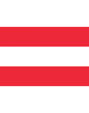 Parche Bandera Austria