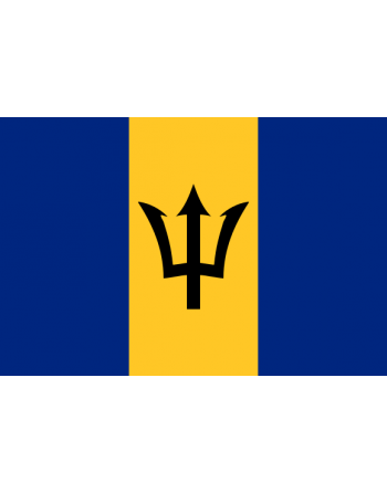Iron-on embroidered Flag Barbados