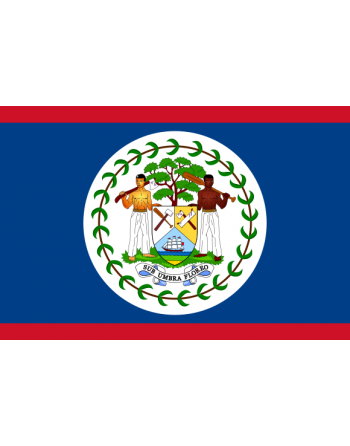 Iron-on embroidered flag Belize