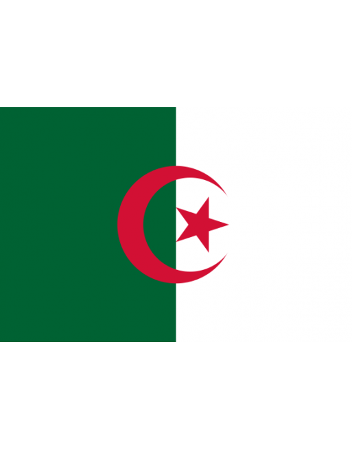 Patch Bandiera Algeria termoadesive