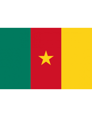 Iron-on embroidered flag Cameroon