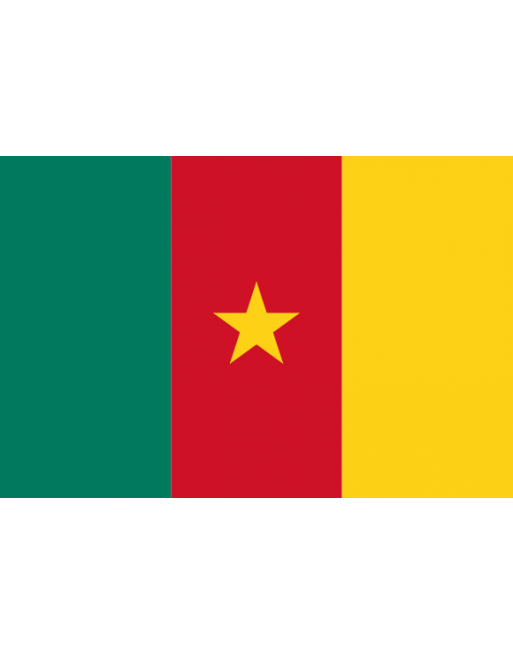Patch Bandiera Camerun termoadesive
