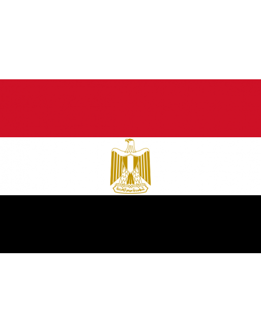 Écussons Drapeaux Egypte thermocollant