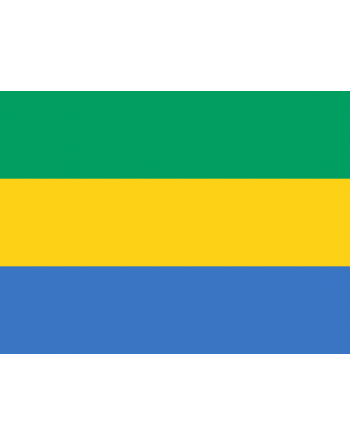 Patch Bandiera Gabon termoadesive