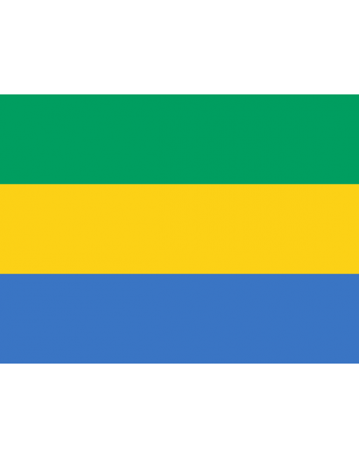 Patch Bandiera Gabon termoadesive