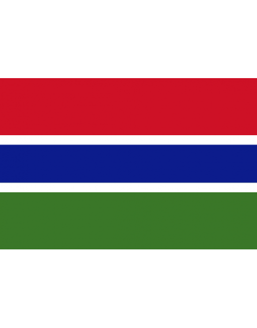 Parche bandera Gambia