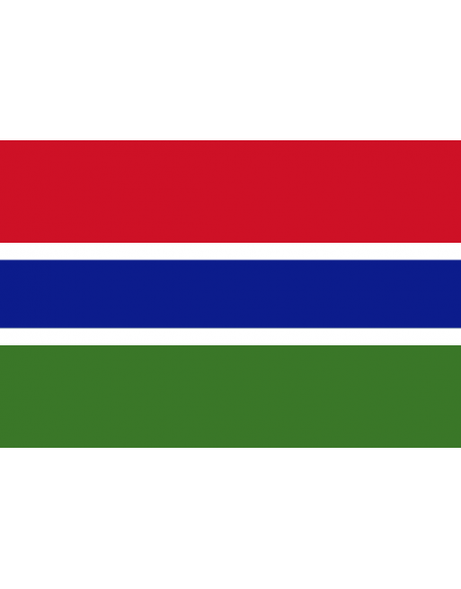 Patch Bandiera Gambia termoadesive