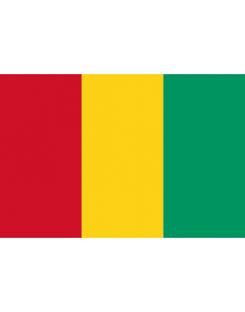 Patch Bandiera Guinea termoadesive