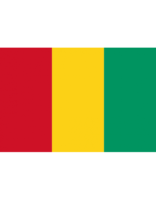 Patch Bandiera Guinea termoadesive