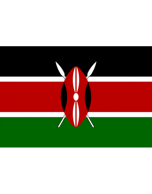 Patch Bandiera Kenya termoadesive