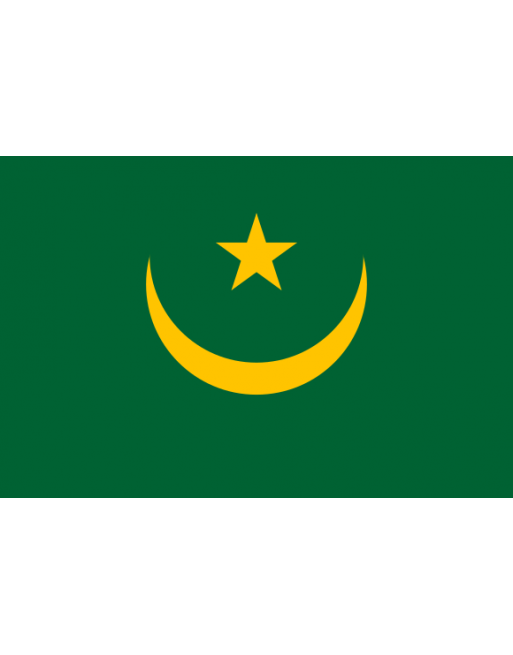 Patch Bandiera Mauritania termoadesive