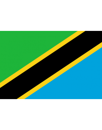 Patch Bandiera Tanzania termoadesive
