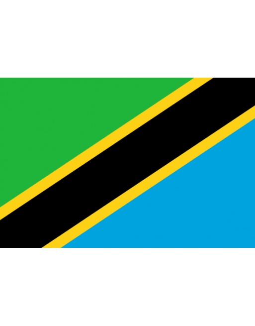 Écussons Drapeaux Tanzanie thermocollant