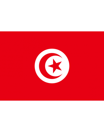 Patch Bandiera Tunisia termoadesive