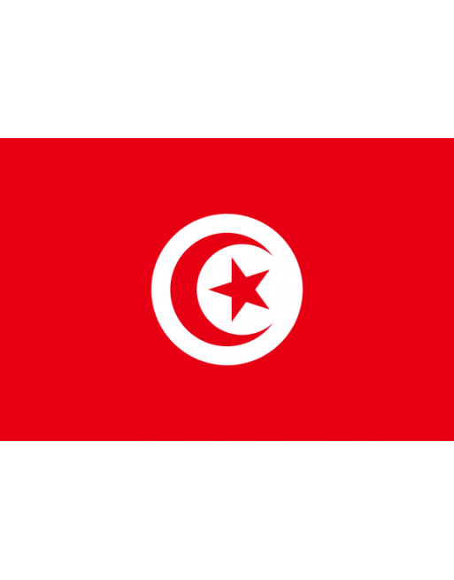Patch Bandiera Tunisia termoadesive
