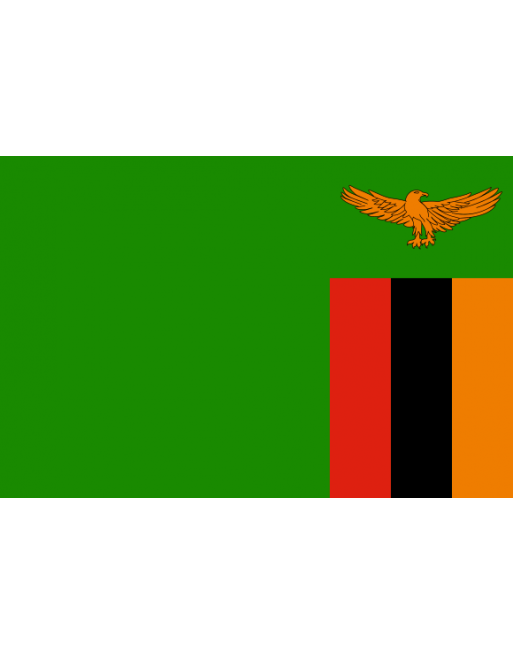 Écussons Drapeaux Zambie thermocollant