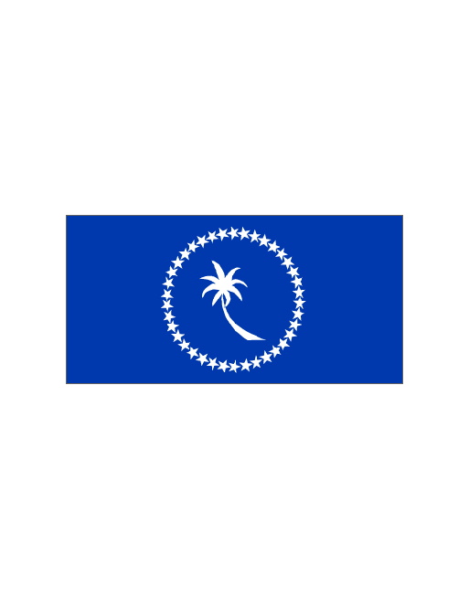 Parche bandera Chuuk