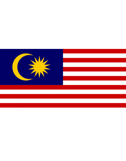 Patch Bandiera Malesia termoadesive