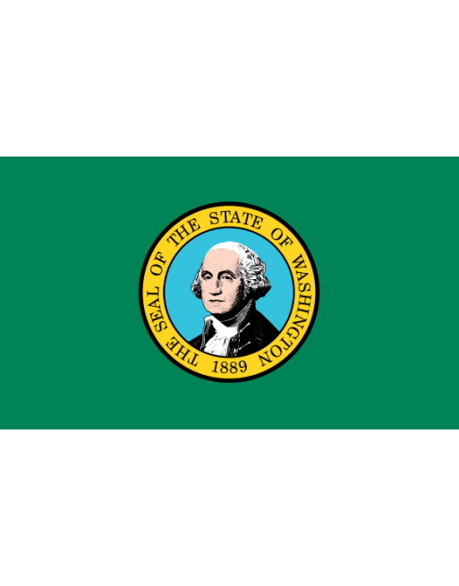 Patch Bandiera Washington termoadesive