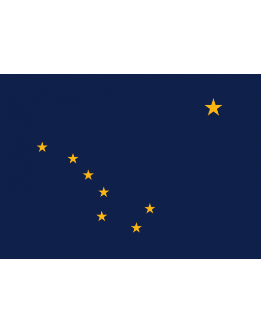 Iron-on embroidered flag Alaska