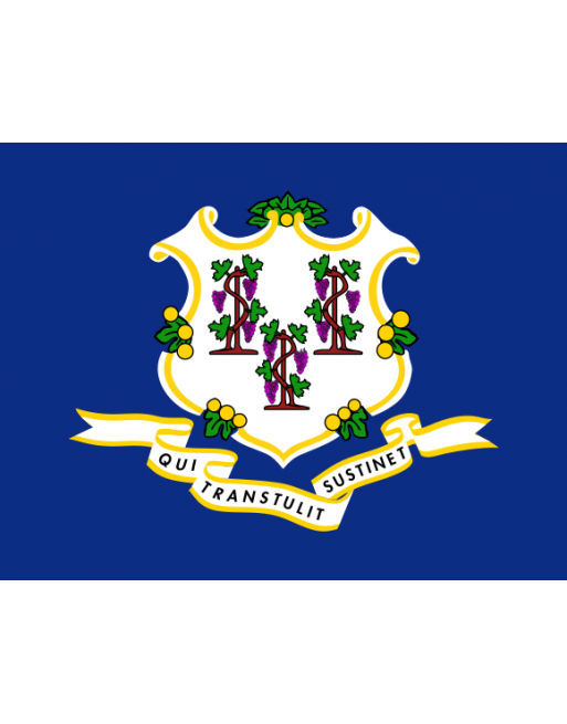 Patch Bandiera Connecticut termoadesive