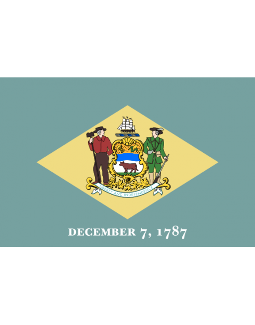 Patch Bandiera Delaware termoadesive
