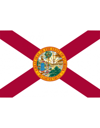 Iron-on embroidered flag Florida