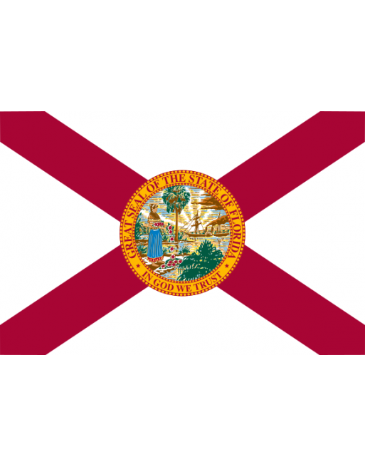 Patch Bandiera Florida termoadesive