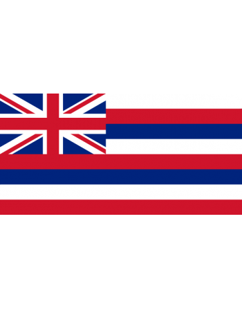 Iron-on embroidered flag Hawaii
