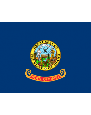 Patch Bandiera Idaho termoadesive