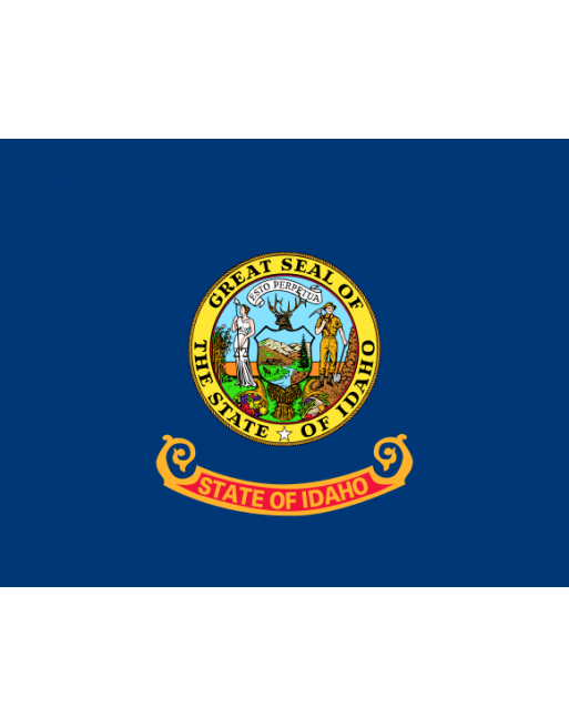 Patch Bandiera Idaho termoadesive