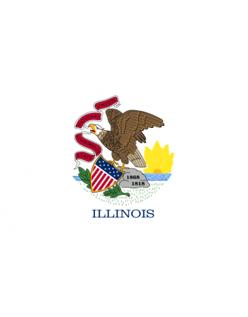 Patch Bandiera Illinois termoadesive