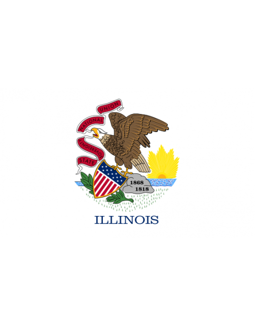 Patch Bandiera Illinois termoadesive