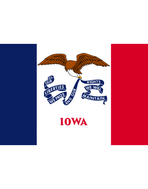 Patch Bandiera Iowa termoadesive