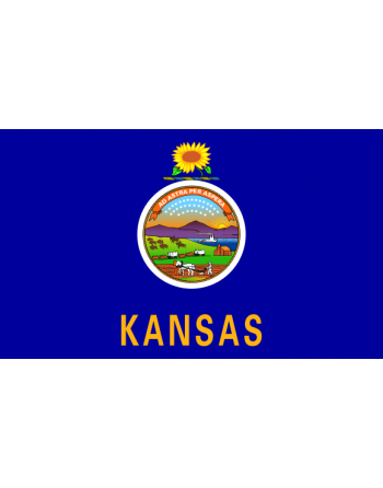 Patch Bandiera Kansas termoadesive
