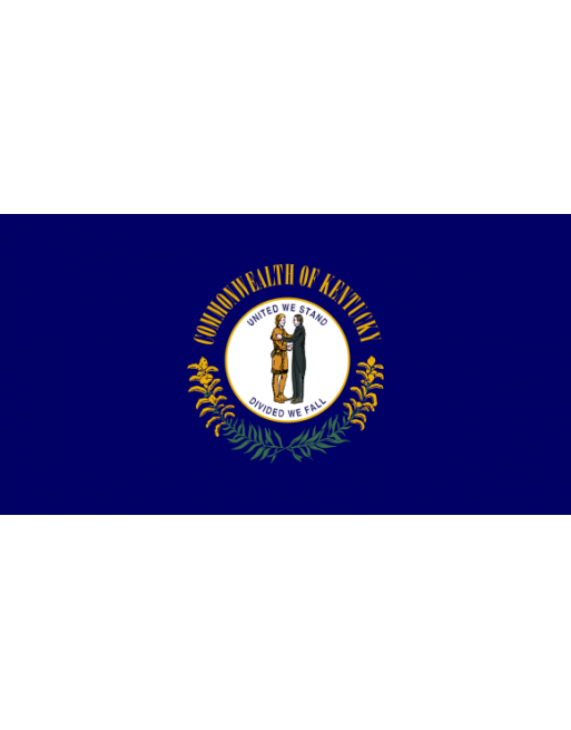 Patch Bandiera Kentucky termoadesive