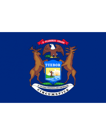 Patch Bandiera Michigan termoadesive