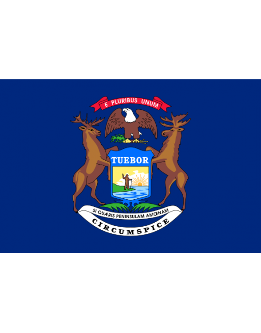 Patch Bandiera Michigan termoadesive