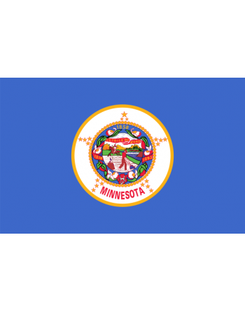 Patch Bandiera Minnesota termoadesive