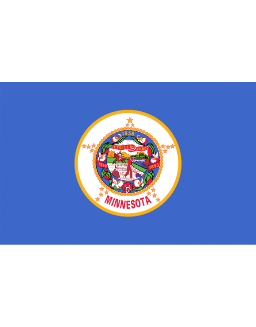 Patch Bandiera Minnesota termoadesive