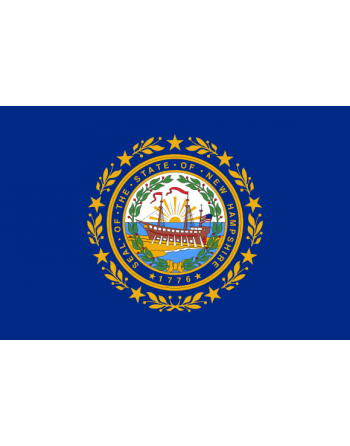 Patch Bandiera New Hampshire termoadesive