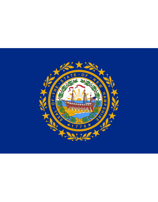 Patch Bandiera New Hampshire termoadesive