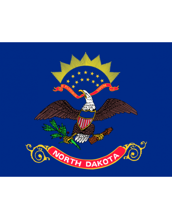 Patch Bandiera North Dakota termoadesive
