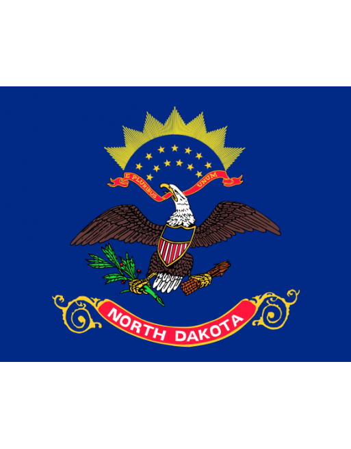 Patch Bandiera North Dakota termoadesive