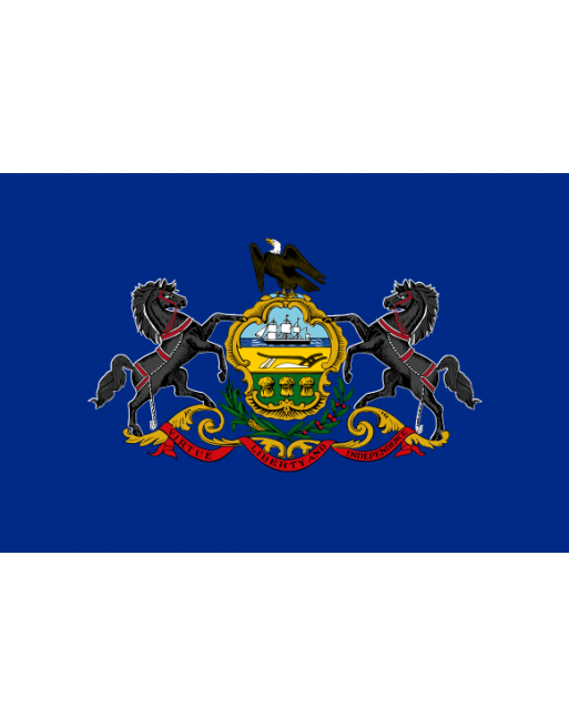 Iron-on embroidered flag Pennsylvania