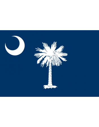 Patch Bandiera South Carolina termoadesive