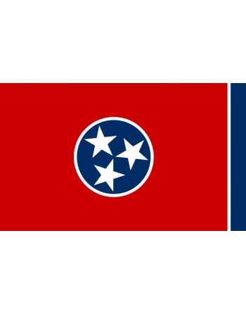 Patch Bandiera Tennessee termoadesive