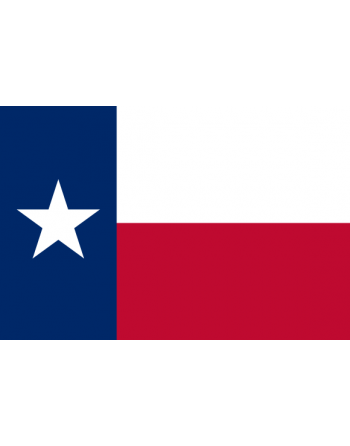 Patch Bandiera Texas termoadesive