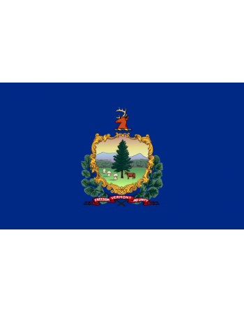 Patch Bandiera Vermont termoadesive