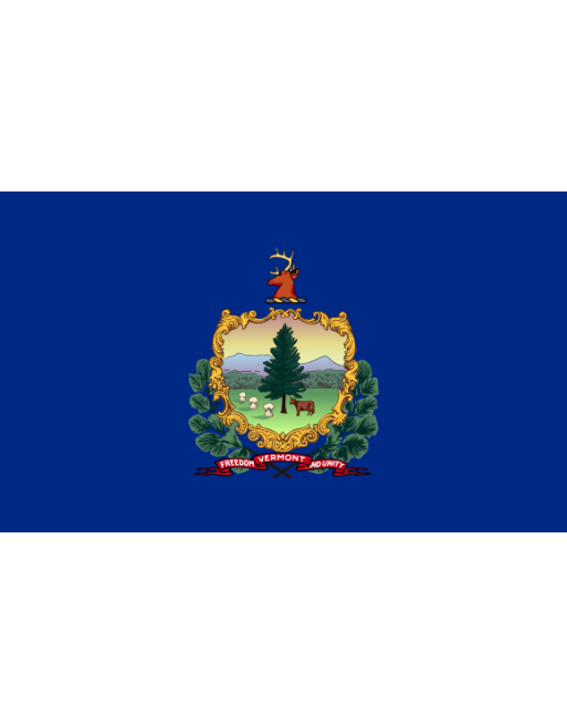 Patch Bandiera Vermont termoadesive